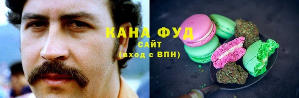 гашик Алзамай