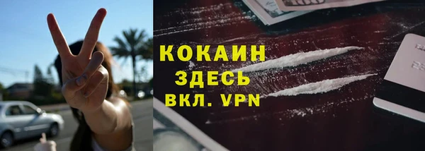 кокс Алексин