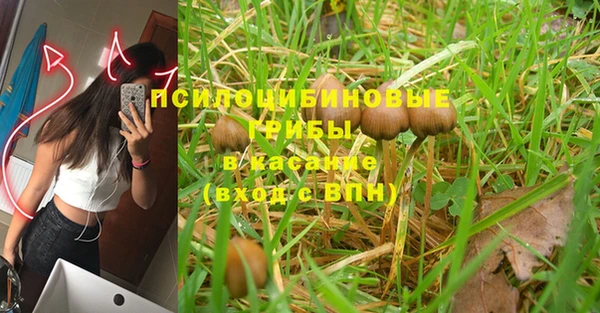 кокс Алексин