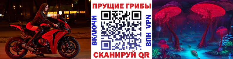 где найти наркотики  mega ссылки  Псилоцибиновые грибы GOLDEN TEACHER  Джанкой 